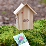 Ladybird Lodge & Flower Seeds